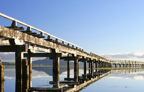 NZ banner