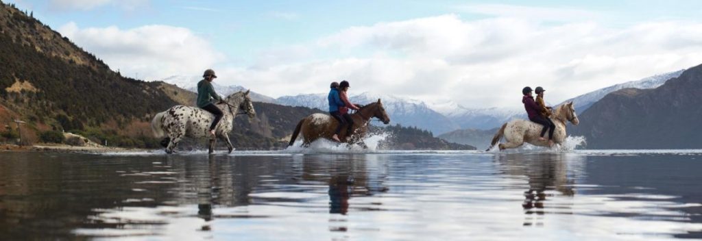 National-Trade-Academy-horse-riding-cross-country