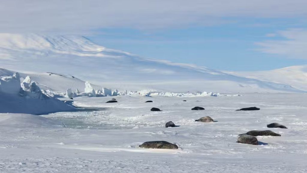 VUW greAntarctica research