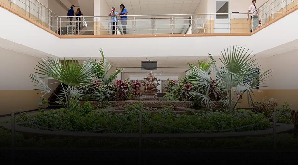 Texila American University campus