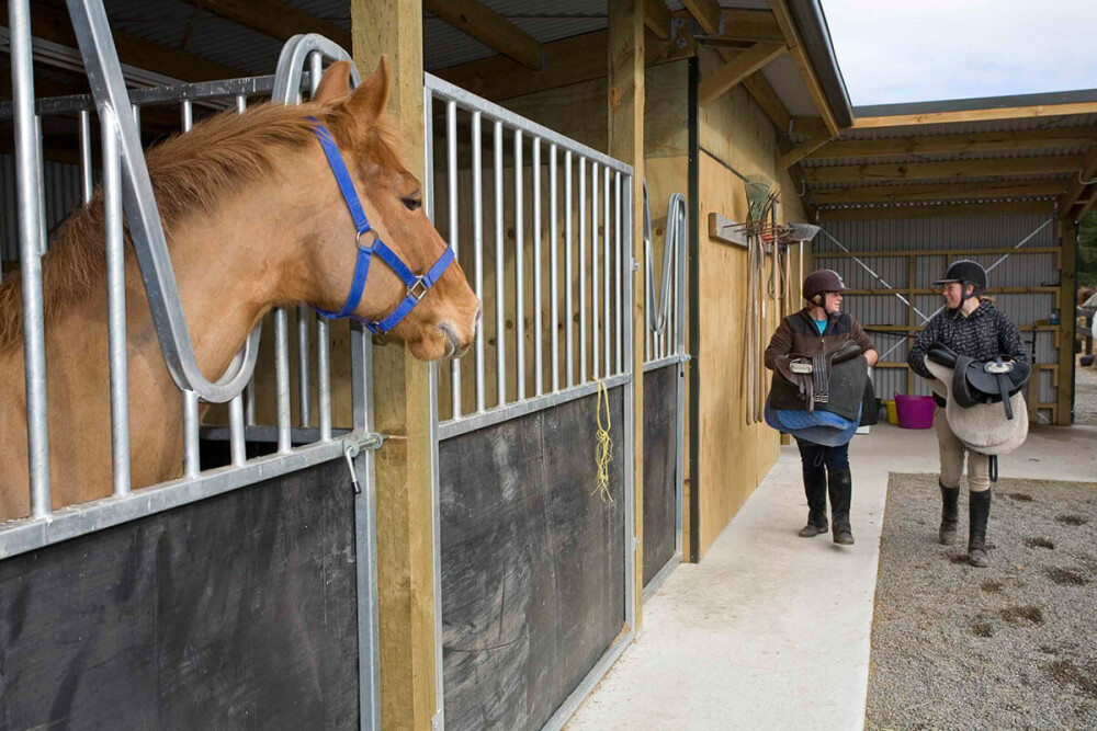 nta-horseriding
